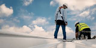 Best Roof Maintenance and Cleaning  in Rendon, TX